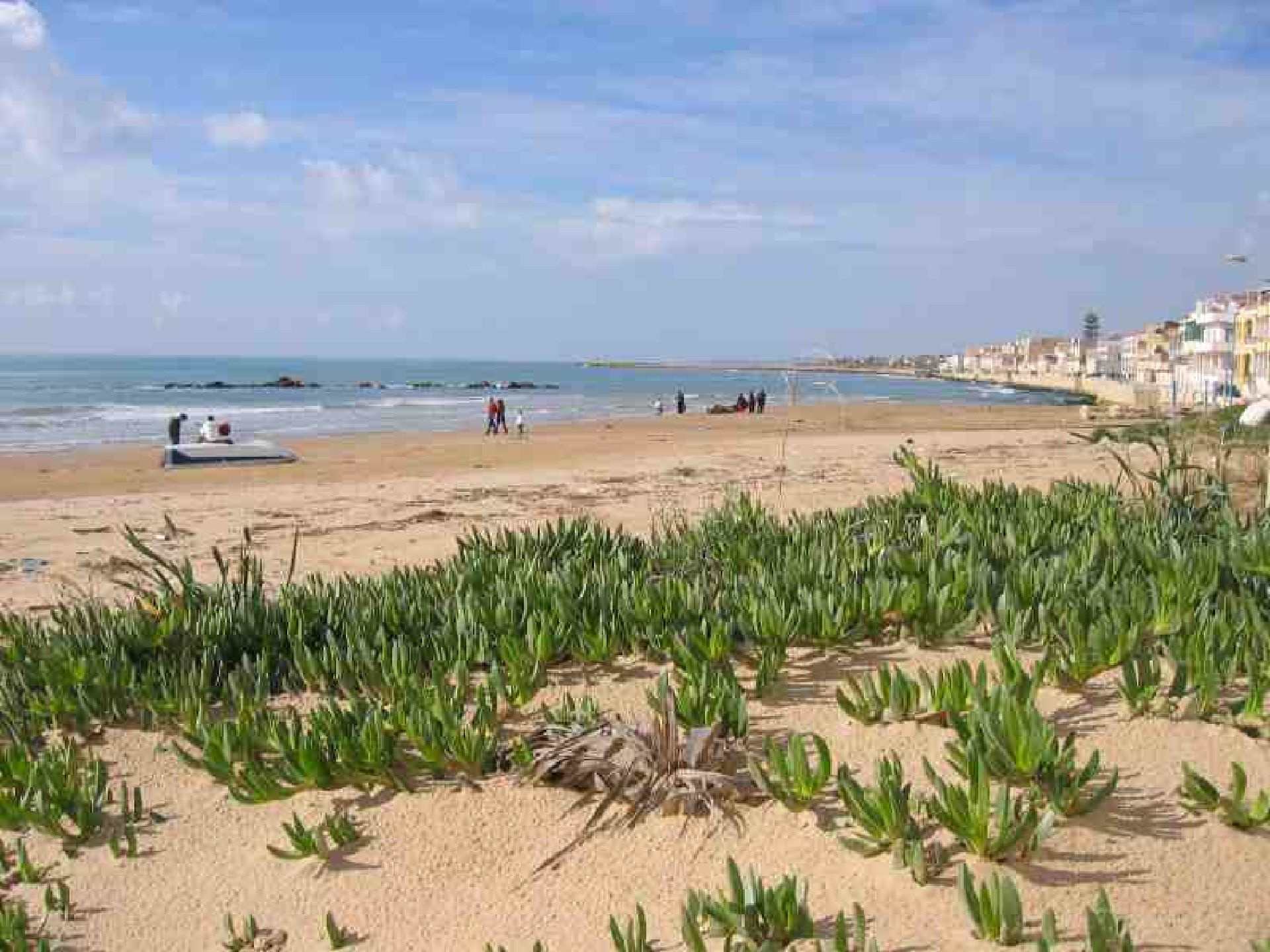 Natura mediterranea Spiaggia dei Miceni