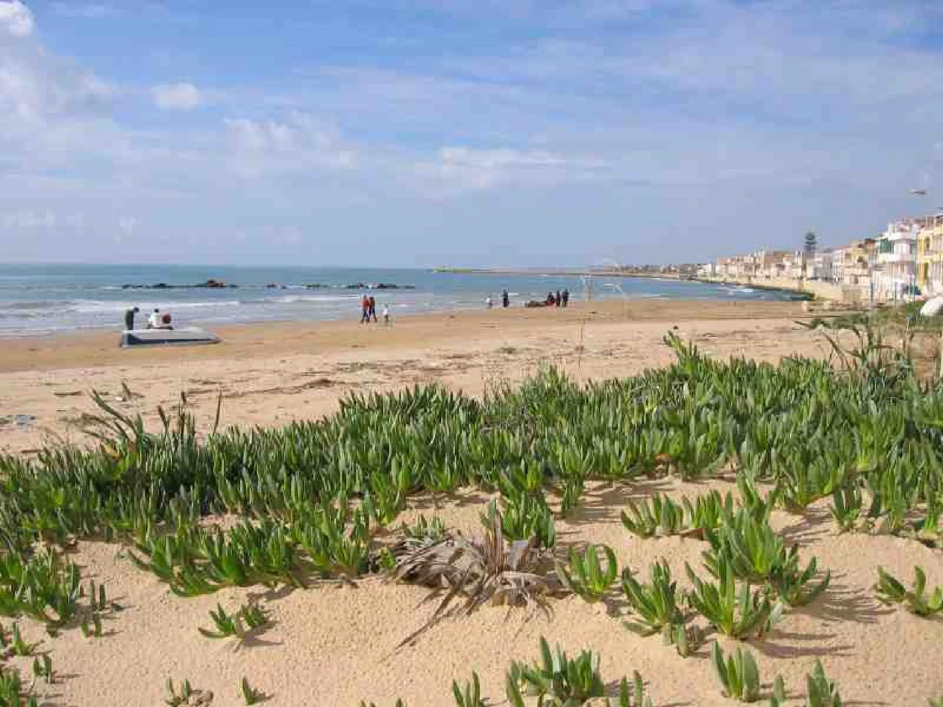 Natura mediterranea Spiaggia dei Miceni
